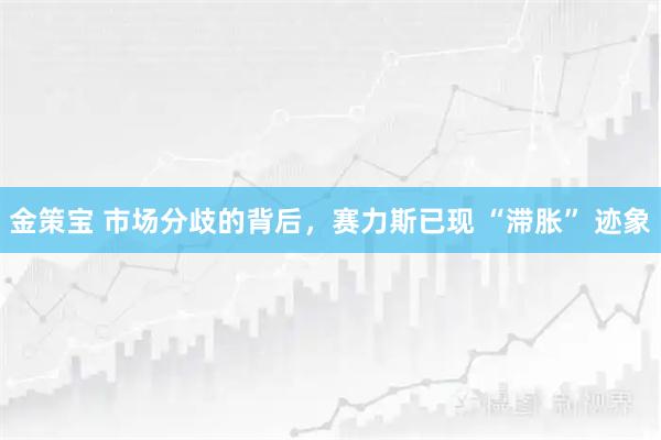 金策宝 市场分歧的背后，赛力斯已现 “滞胀” 迹象
