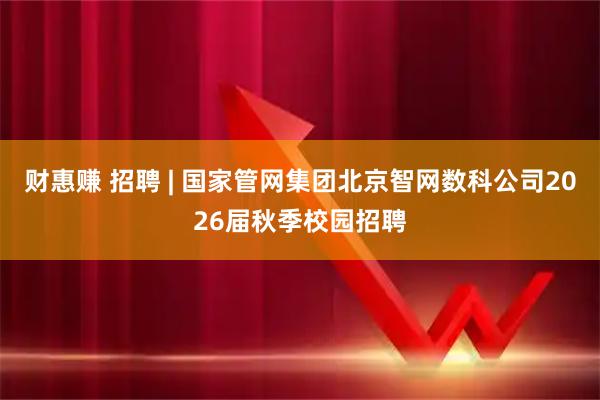 财惠赚 招聘 | 国家管网集团北京智网数科公司2026届秋季校园招聘